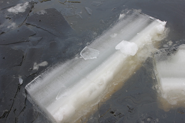 Dolní Vltavice, záchrana z ledu, 23.2.2012