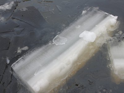 Dolní Vltavice, záchrana z ledu, 23.2.2012 4