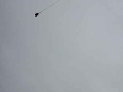 Dolní Vltavice, záchrana z ledu, 23.2.2012 26
