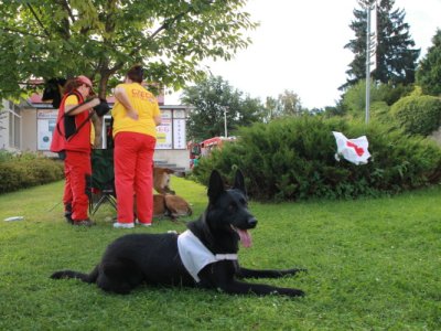 Světový den první pomoci v Prachaticích, 15.9.2011 12