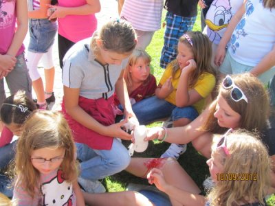 Prachatice -