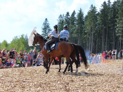Jízdní policie