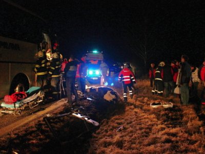 Střet zájezdového autobusu se stádem krav u Krasejovky, 3.3.2012 5