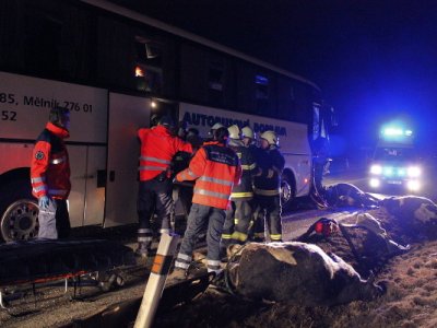Střet zájezdového autobusu se stádem krav u Krasejovky, 3.3.2012 6