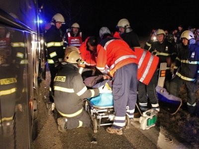 Střet zájezdového autobusu se stádem krav u Krasejovky, 3.3.2012 7