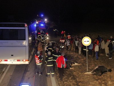 Střet zájezdového autobusu se stádem krav u Krasejovky, 3.3.2012 9