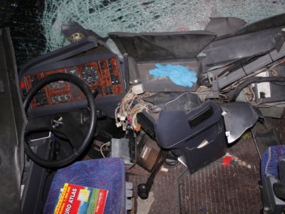 Střet zájezdového autobusu se stádem krav u Krasejovky, 3.3.2012 19