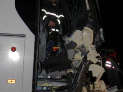 Střet zájezdového autobusu se stádem krav u Krasejovky, 3.3.2012 20