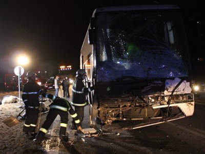 Střet zájezdového autobusu se stádem krav u Krasejovky, 3.3.2012 22