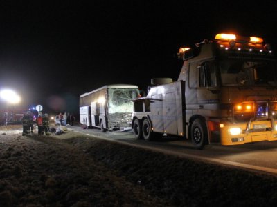Střet zájezdového autobusu se stádem krav u Krasejovky, 3.3.2012 24